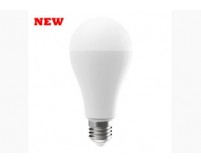 What LED bulb replaces 100 watt?