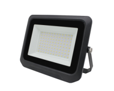 LED Flood Light